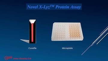 X-Lyz™ Protein Quantitation Assay Kit