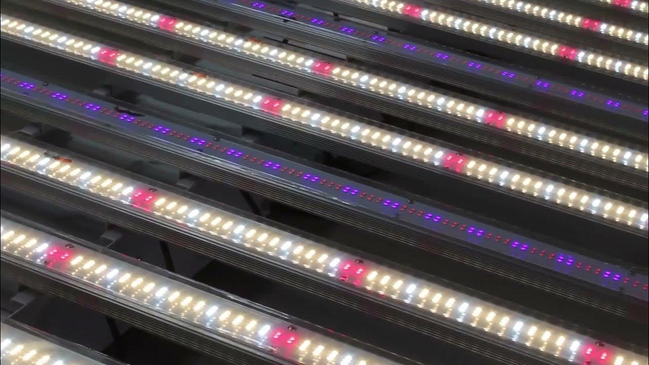 How to Use LED Grow Lights？ YouTube