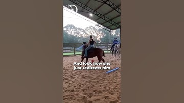 Desensitizing Your Horse With A Pool Noodle! | The Horse Guru-Michael Gascon