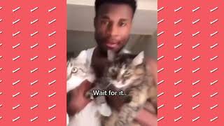Funny animals from tiktok: Animals Funny and Cute Meme Compilation That Will Make Your Day