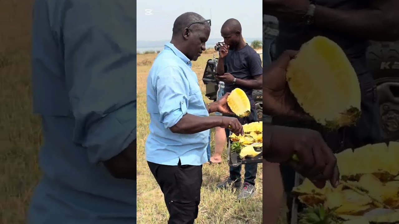 Day 5 kikonko safari lodge and one last game drive in murchison falls national park. 