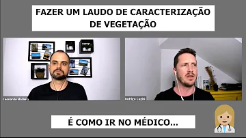 O que é Laudo de Caracterização de vegetação?