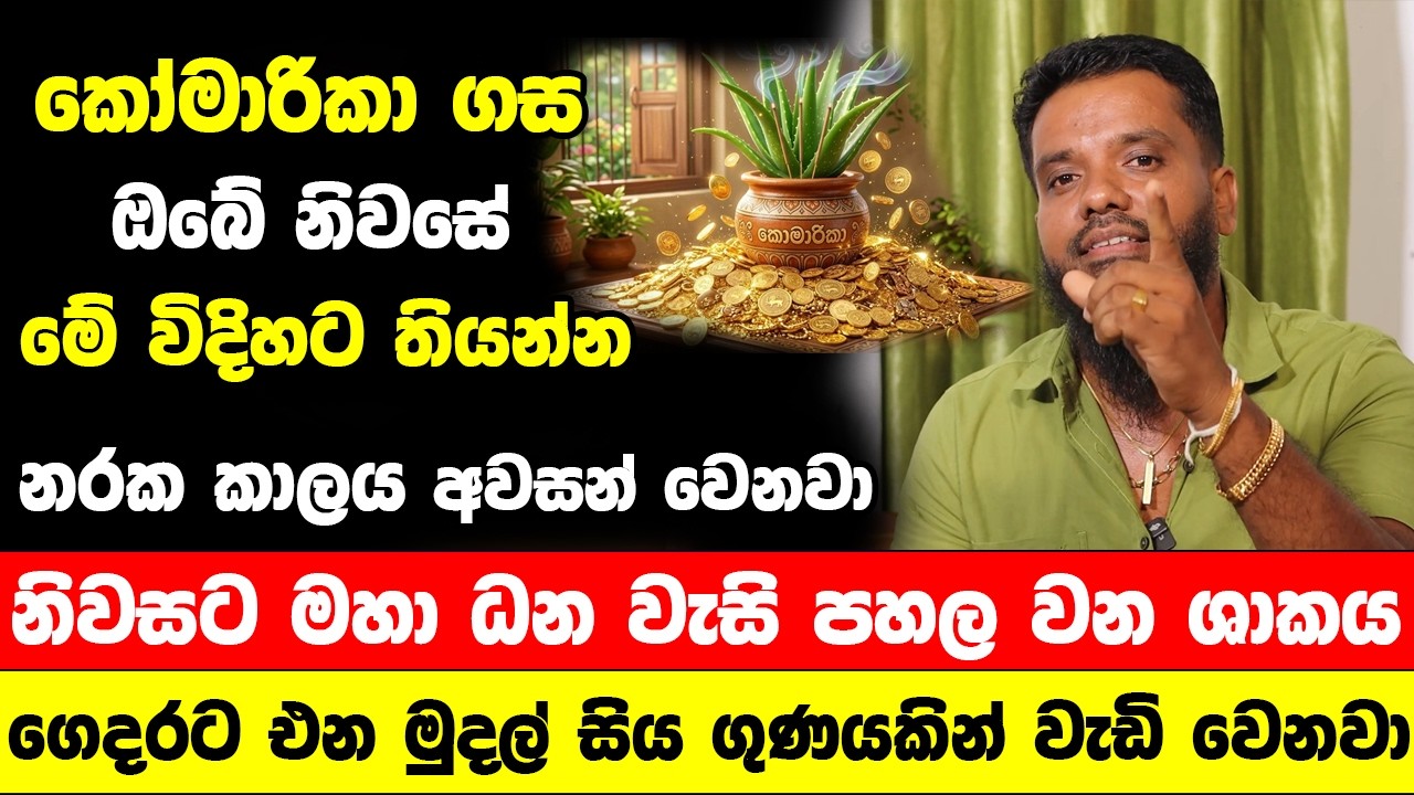 ගේ ඇතුලේ මේ විදිහට කෝමාරිකා ගසක් තියන්න ගෙදර අග හිග කම් ඔක්කෝම ඉවරයි - ගෙදරට සල්ලි වැසි වසිනවා!