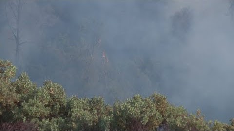 Bonanza Fire Forces Evacuations in El Dorado County | California Wildfires
