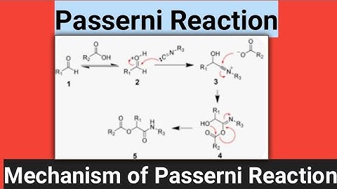 Passerni Reaction, mechanism of Passerni Reaction,