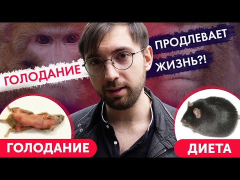 Голодание продлевает или СОКРАЩАЕТ жизнь?! Разбор исследований