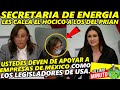 Rocío Nahle Les da Cachetadón Guajolotero a la OPOSICIÓN "Protejan a las EMPRESAS como lo Hace USA"