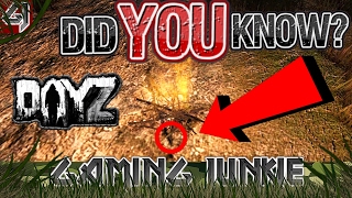 Fire 0.61 - SPECIAL TIPS & TRICKS tutorial - How To Make Indoor & Outdoor Fires - DayZ Standalone