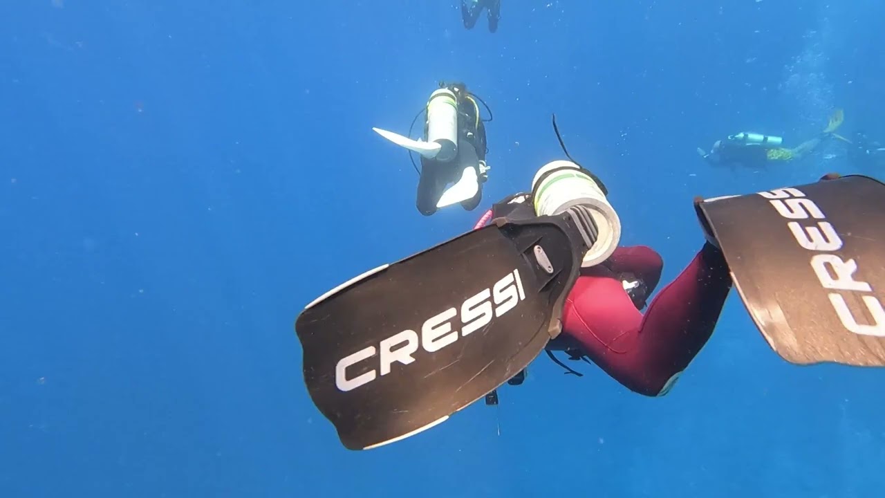 シミランクルーズ