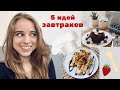 5 ИДЕЙ ЗАВТРАКОВ В ОБЩЕЖИТИИ | ПРОСТЫЕ РЕЦЕПТЫ | dake.stories