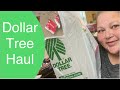 Dollar Tree Haul - Small but Sweet (NEW ITEMS)