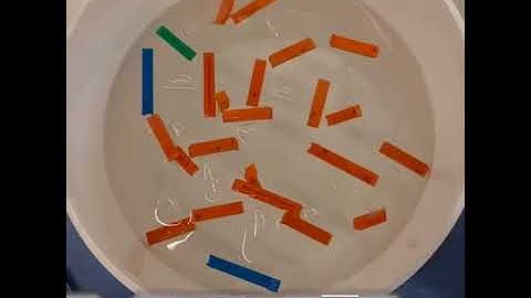 #TechThursday 132: Medium scale protein chromatography 💦⚗️