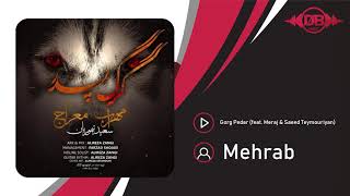 Mehrab - Gorg Pedar (feat. Meraj & Saeed Teymouriyan) | OFFICIAL TRACK مهراب - گرگ پدر