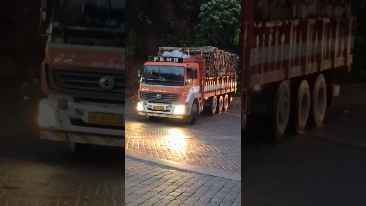 മരകഷ്ണങ്ങൾ കയറ്റിവരുന്ന ലോറി താമരശ്ശേരി ചുരമിറങ്ങുന്ന കാഴ്ച്ച കണ്ടോ 😱🔥#shortsfeed #shorts #viral