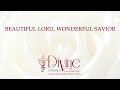 Beautiful Lord, Wonderful Savior Song Lyrics Video
