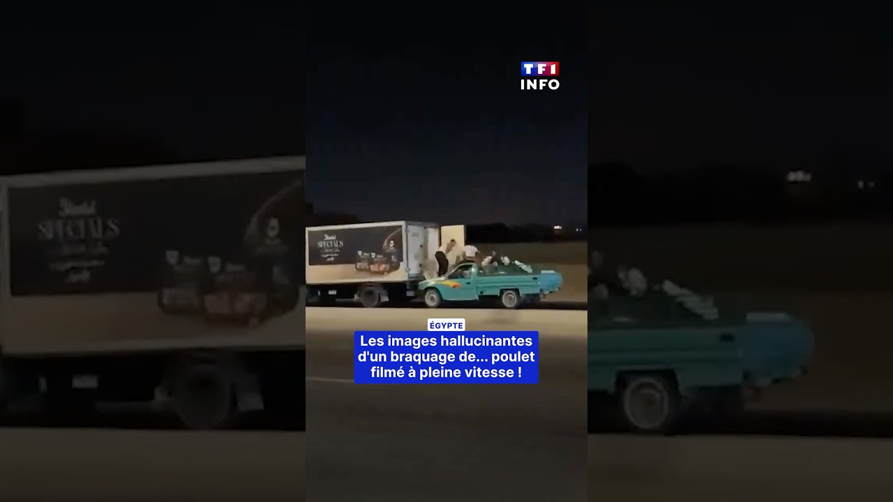 😲🐔 Les images hallucinantes d'un braquage... de poulet filmé à pleine vitesse !｜TF1 INFO