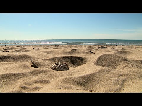 Bleue Occitanie à Mauguio : la plage du Petit-Travers, sauvée de l'érosion
