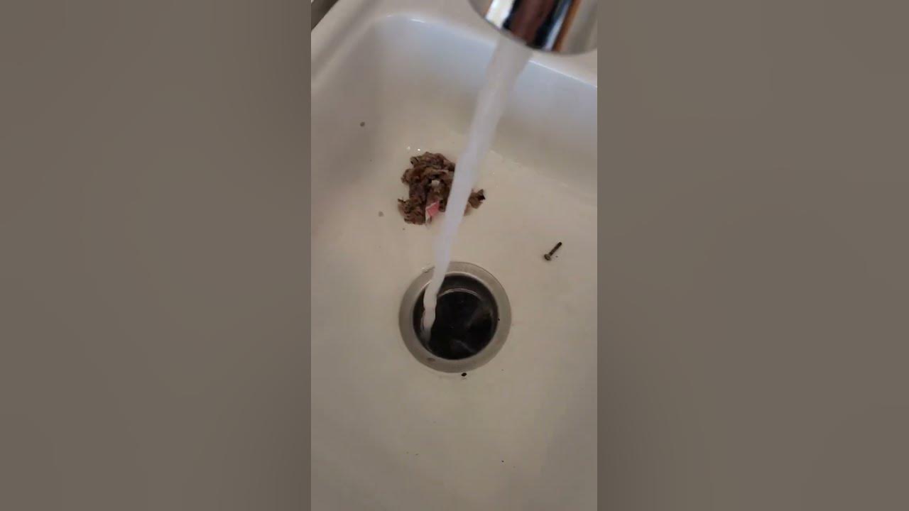 Broken garbage disposal with flying nuts and bolts YouTube