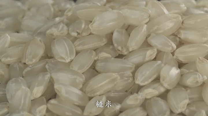 醇厚「月桂冠清酒」的釀造流程 / 月桂冠 おいしいお酒ができるまで - 天天要聞
