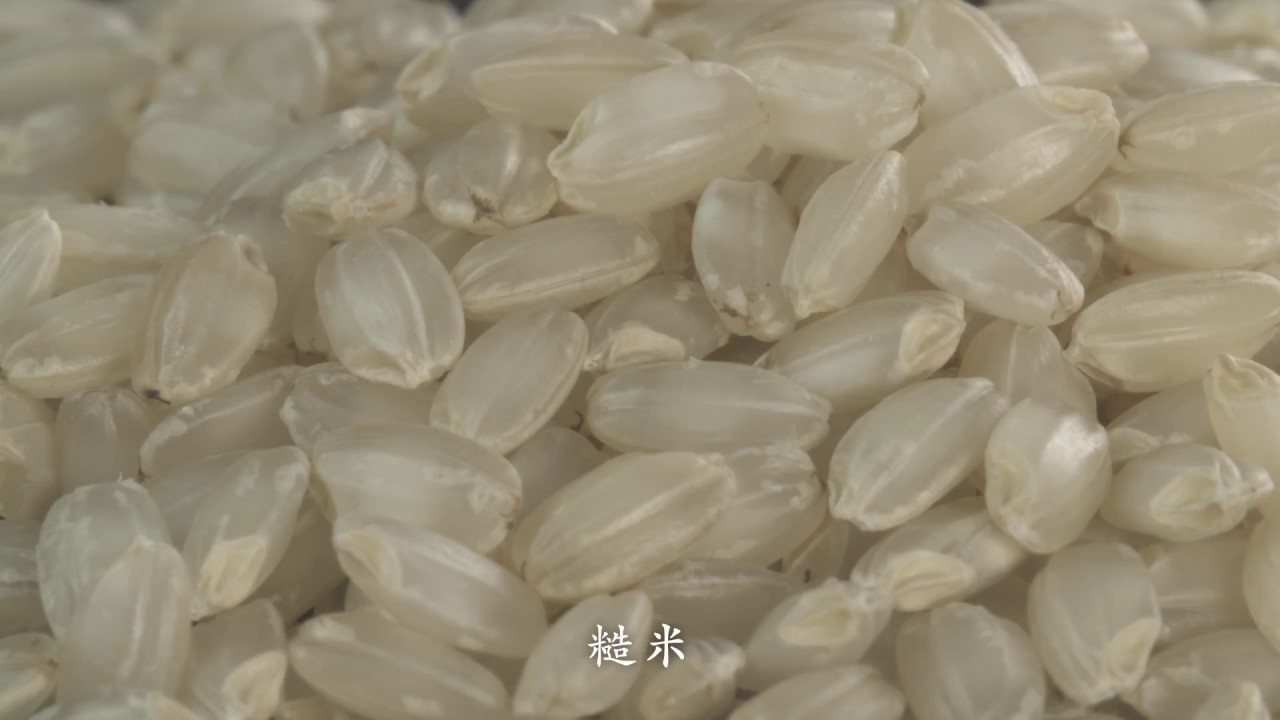 醇厚「月桂冠清酒」的酿造流程 / 月桂冠 おいしいお酒ができるまで