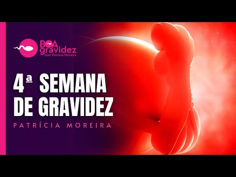 Vídeo: 4 semanas de desenvolvimento do bebê