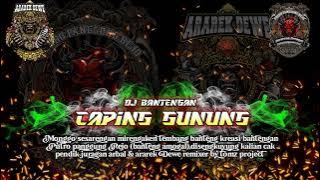 Dj Bantengan caping gunung Putro panggung Rejo (Banteng amogal)