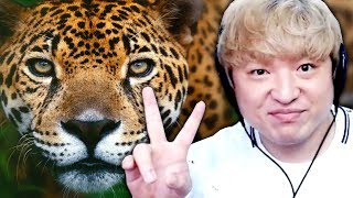 설마..아직도 재규어 못 잡은 사람 없죠?ㅋ [그린 헬] 정글생존게임! screenshot 2