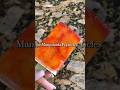 Mangonada Popsicles Food Shorts Foodshorts Mangonada Popsicle 