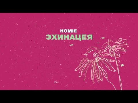 Homie -  Эхинацея