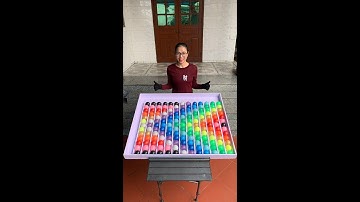 Puzzle sort ball game solve and challenge nice move