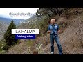 Guide de visite de l'île de La Palma au Canaries  k4 ultra HD