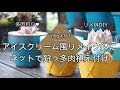 【Vlog163】【多肉植物】ネットで多肉狩り＆チョコミントなリメ鉢に植え付けます