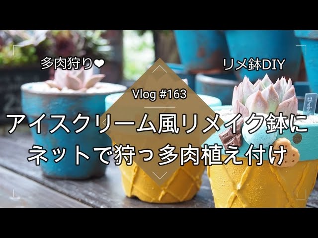 Vlog#5】多肉植物の植え替え準備に！リメイク鉢の作り方・作業工程編