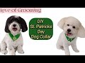 DIY St. Patricks Day Dog Collar