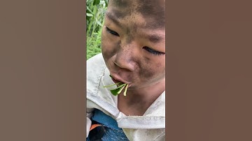 Cậu Bé Người Rừng p3 - người rừng bỏ đi | tippi tv