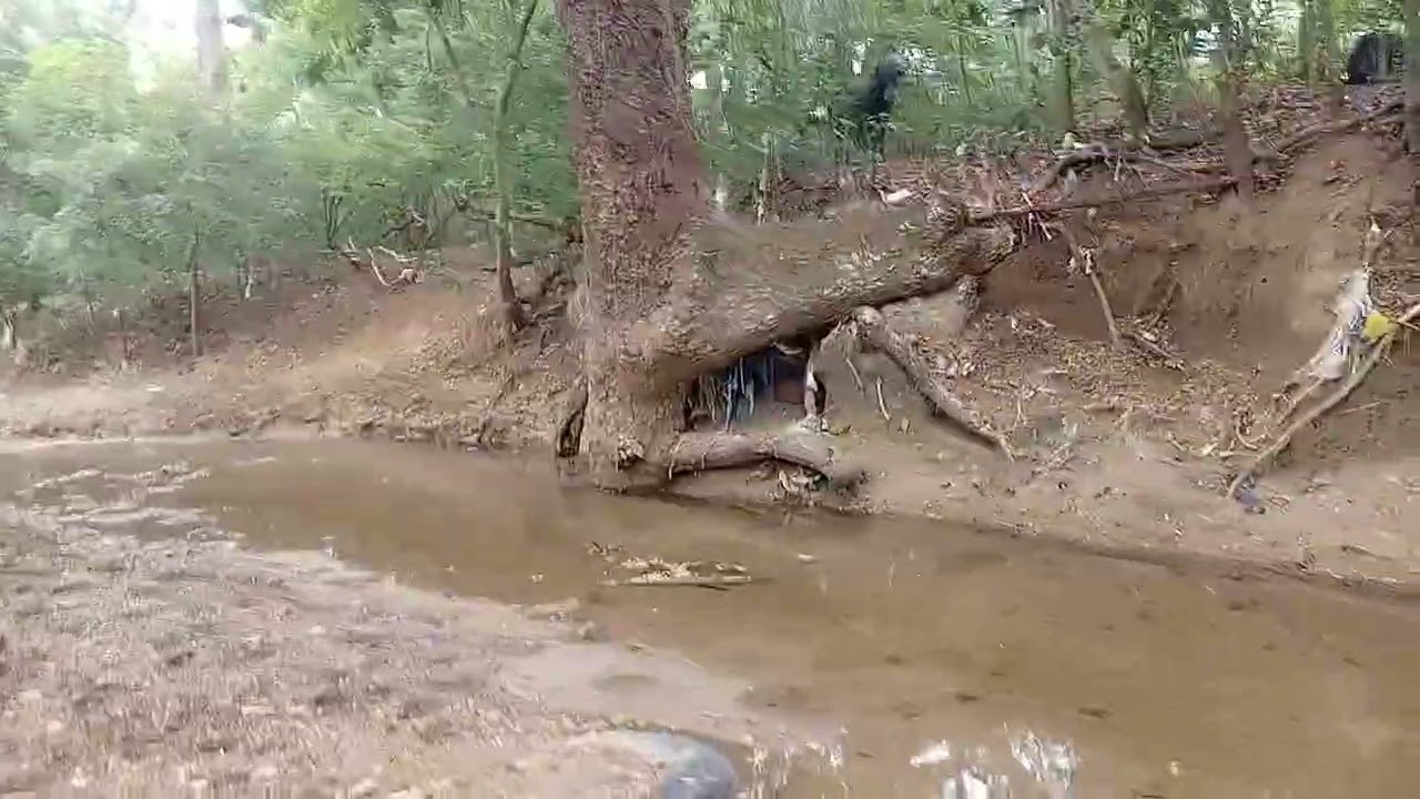 Visitando un campito de santiago República Dominicana jacagua 