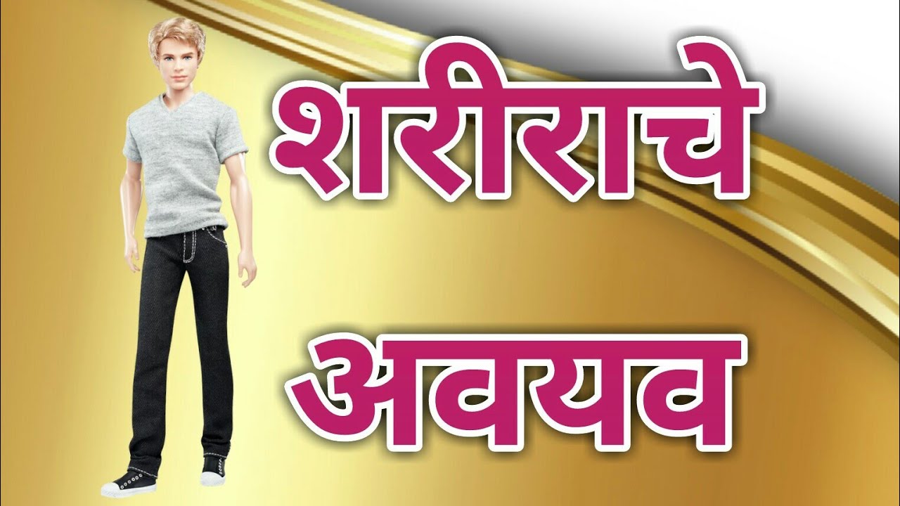 Parts of body in marathi with pictures | शरीराचे अवयव - YouTube