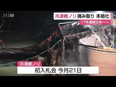 17年連続日本一へ 有明海で冷凍網ノリ摘み取り始まる【佐賀県】 (20/01/14 12:00) - 17年連続日本一へ 有明海で冷凍網ノリ摘み取り始まる【佐賀県】 (20/01/14 12:00)