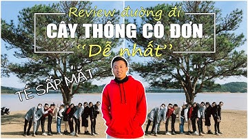 Review cung đường chinh phục CÂY THÔNG CÔ ĐƠN ở Đà Lạt - "Cú Lừa" Vật Vã | Travel Vlog