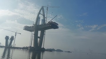 Cầu Phước An mới nhất...Một bông hoa mọc lên giữa rừng ngập mặn của sông thị Vải