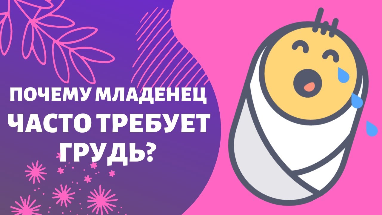 6 причин почему новорождённый часто требует грудь.