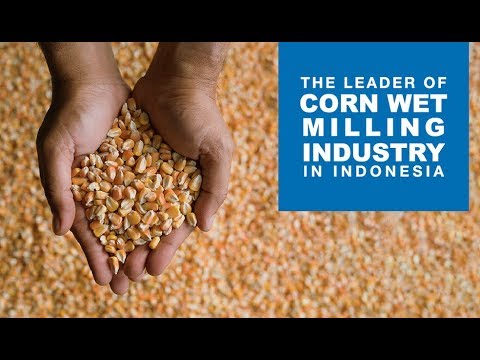 Tereos FKS Indonesia - The Leader of Corn Wet Milling Industry in Indonesia