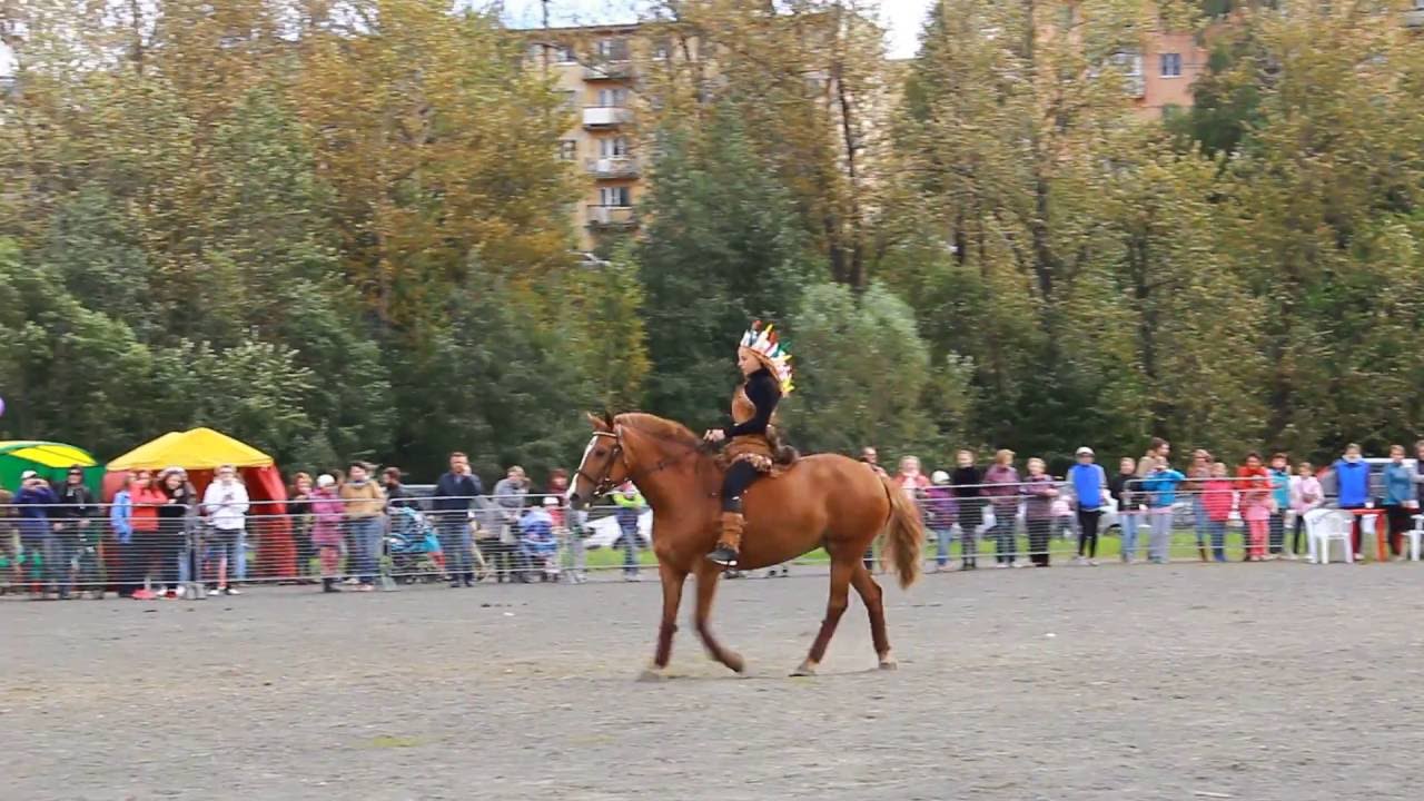 КОНИтель 2016. Номер "Спирит душа прерий". - YouTube