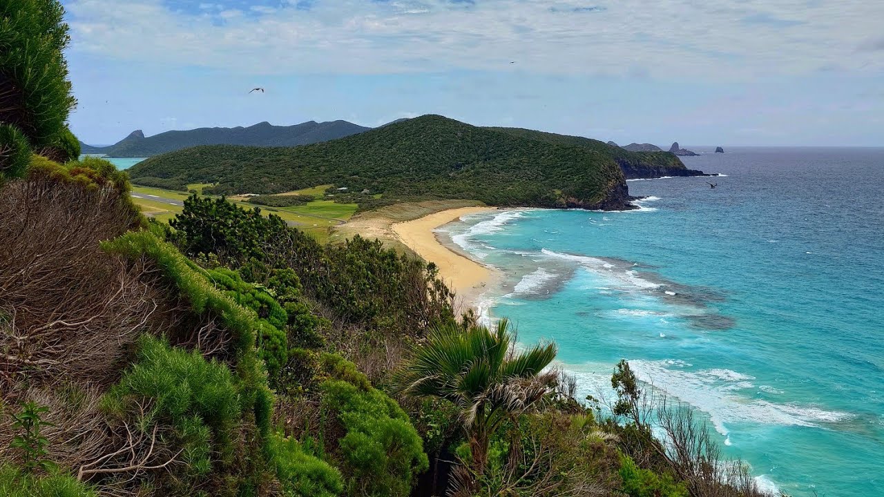 Muttonbird Point track 