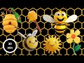 3d bee sensory adventure  nature fun for kids  fun dance