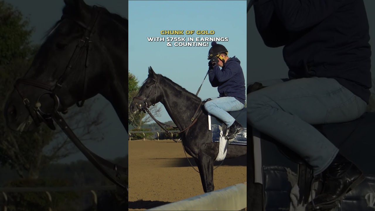 Chunk of Gold: $2,500 Yearling to $755k+ Earner 