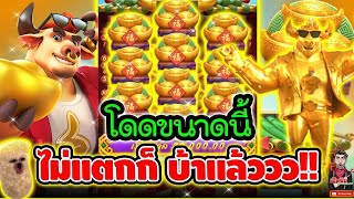 โดดขนาดนี้ ไม่แตกก็บ้าแล้ววว !!!"│เกม Fortune Ox ➤ Slot PG