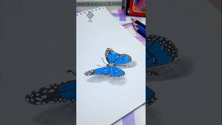 how to draw realistic butterfly | cara gambar kupu kupu realis #drawing #tutorial #colorpencil #art how to draw realistic butterfly | cara gambar kupu kupu realis #drawing #tutorial #colorpencil #art