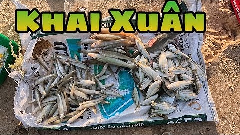 Câu Cá Bống Đục Khai Xuân Năm mới 2025