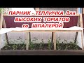 ПАРНИК  со ШПАЛЕРОЙ для ВЫСОКОРОСЛЫХ ТОМАТОВ -  ДЕШЕВО  и СЕРДИТО